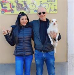 Movimento Elettrico, Pachino orari di apertura