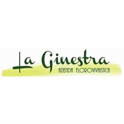 La Ginestra, Serino orari di apertura