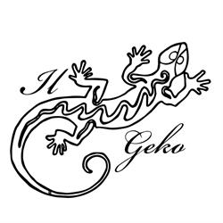 Ristorante Il Geko, Pescantina orari di apertura
