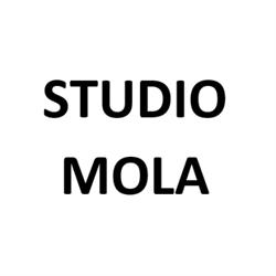 Studio Mola, Bertonico orari di apertura