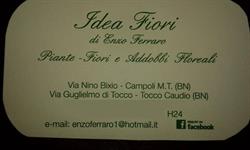 Fioreria Ferraro Idea Fiori e Agenzia Funebre, Campoli del Monte Taburno orari di apertura