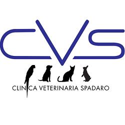 Clinica Veterinaria Spadaro, Siderno orari di apertura