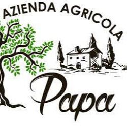 Trattoria Papa, Tripi orari di apertura