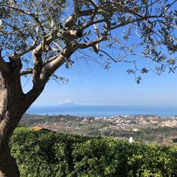 Il Casale del Golfo, Vico Equense orari di apertura