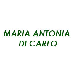Maria Antonia di Carlo, Palermo orari di apertura