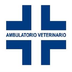 Ambulatorio Veterinario San Rocco - Dott. di Fabrizio Lamberto, Bastia Umbra orari di apertura