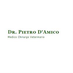Ambulatorio Veterinario Dr. Pietro D'Amico, Aprilia orari di apertura