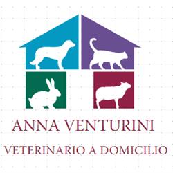Venturini Anna - Veterinario a domicilio Nuova Florida, Ardea orari di apertura