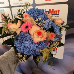 La Bottega di Amato Fiori e Piante, Lucca orari di apertura