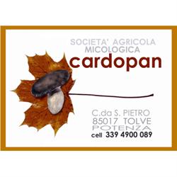 Funghi Cardopan, Tolve orari di apertura