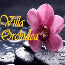 Villa Orchidea Residenza per Anziani, Pianella orari di apertura