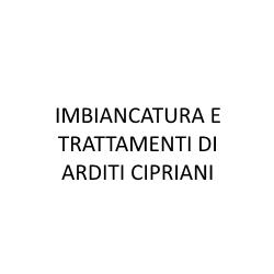 Imbiancatura e Trattamenti di Arditi Cipriani, Borgo San Lorenzo orari di apertura