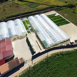 Vivaio Biohortoplant, Barrafranca orari di apertura