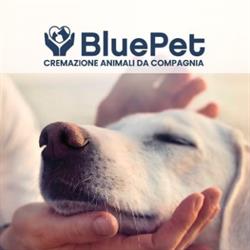 Blue Pet Srl Cremazione Animali-Forno Crematorio Pet, Vicopisano orari di apertura