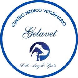 Centro Medico Veterinario Gelavet dott. Angelo Spoto, orari di apertura