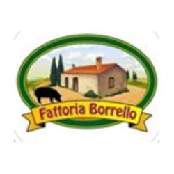 Fattoria Borrello, Raccuja orari di apertura