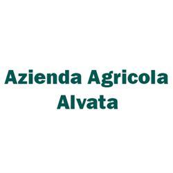 Azienda Agricola Alvata, Potenza Picena orari di apertura