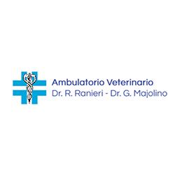 Ambulatorio Veterinario Dr. G. Majolino - Dr.ssa R. Ranieri, Collecchio orari di apertura