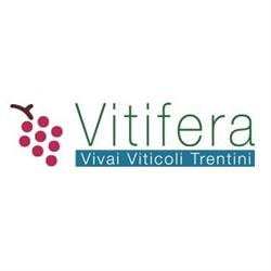 Vitifera Madruzzo, Lasino - Orari di apertura