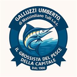 Galluzzi Umberto sas di Tulli Massimiliano, Roma orari di apertura