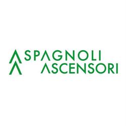 Spagnoli Ascensori di Spagnoli Domenico e C. snc, Riccione orari di apertura