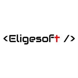 Eligesoft S.a.s, Nocera Inferiore orari di apertura