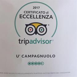 Ristorante U' Campagnuolo S.A.S. Conte Ferdinando, Ischia orari di apertura