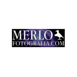 Merlo Fotografia (Fotografia pubblicitaria e servizi fotografici professionali), Genova orari di apertura