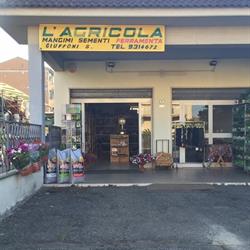 Agricola Di Ciuffoni Santa Albano Laziale, Pavona - Orari di apertura