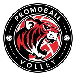 Promoball V.B.F., Flero orari di apertura