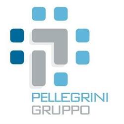 Pellegrini Srl, Cinto Caomaggiore orari di apertura