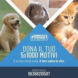 Animalisti Italiani Onlus, Roma orari di apertura