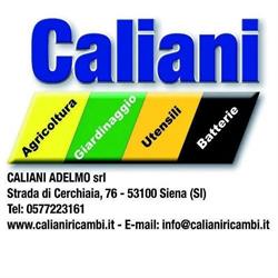 Caliani Adelmo S.r.l., Siena orari di apertura
