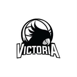 AD Victoria Pallacanestro, Torino orari di apertura