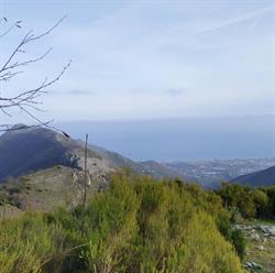 Comune di Ceriale, orari di apertura