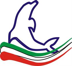 Dolphin Soluzioni Informatiche, Sesto San Giovanni orari di apertura
