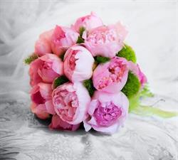 Fiore Giuseppina, Trivento orari di apertura