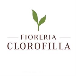 Fioreria Clorofilla Di Algisi Elisabetta & C. Snc, Trescore Balneario orari di apertura