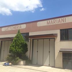 Mariani Rodolfo Lattoneria, Sarsina orari di apertura