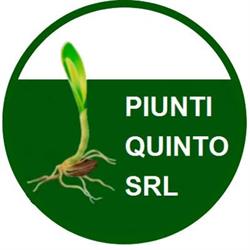 Piunti Quinto SRL, San Benedetto del Tronto orari di apertura