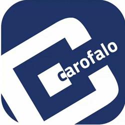 CAROFALO Silvia e Dario Srl, Lecce orari di apertura