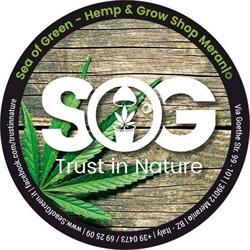 Sea of Green - Hemp & Grow Shop, Merano orari di apertura