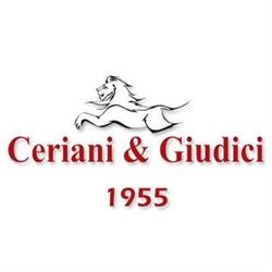 Carrozzeria Ceriani e Giudici S.r.l., Caronno Pertusella orari di apertura