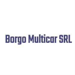 Vendita e Noleggio Auto Borgo Multicar, San Martino Siccomario orari di apertura