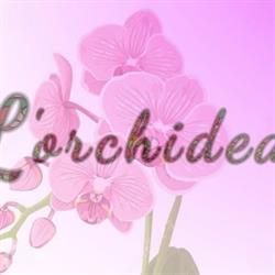 L'Orchidea Di Nencini L'Orchidea Di Nencini Patrizia, Pontedera orari di apertura