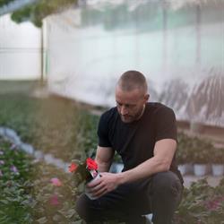 Floricoltura Pigazzi VENDITA ALL'INGROSSO, Latina orari di apertura