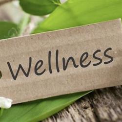 P.T. Lab Nora Bellano Wellness, orari di apertura