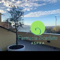Farmacia Scaduto sas, Bagheria orari di apertura