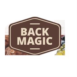 Back Magic S.R.L., Varna orari di apertura