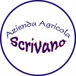 Azienda Agricola Scrivano Vincenzo S.A.S. di Scrivano V. & C., Bisignano orari di apertura